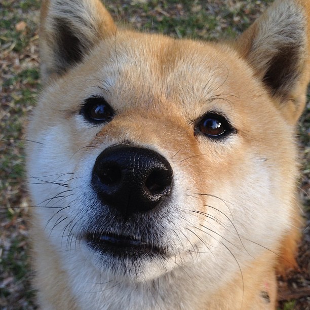 开云体育-“球迷故事：从支持到狂热，感人瞬间”，球迷分享